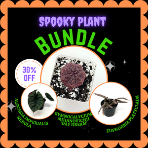 Spooky Plant Bundle (Ships within Canada only)