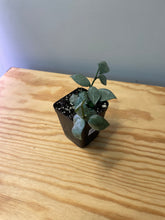 Load image into Gallery viewer, 86. Lacunosa Super Silver