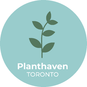 Planthaven Toronto