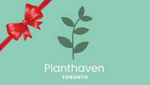 Planthaven Toronto Gift Card